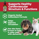animal-essentials-heart-health-for-dogs--5.jpg