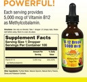 natures-life-b-12-drops-methlycobalamin--2.jpg