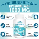 liposomal-nad-supplement-1000-mg-highest-3.jpg