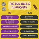 odd-balls-organic-energy-balls-lemon---s-5.jpg