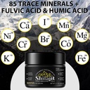 shilajit-pure-himalayan-resinpure-shilaj-2.jpg
