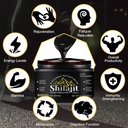 shilajit-pure-himalayan-resinpure-shilaj-3.jpg