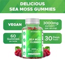 vitamatic-2-pack-irish-sea-moss-gummies--4.jpg