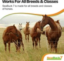 seabuck-7-equine-supplement-for-horses-w-6.jpg