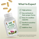 andrew-lessman-liver-anti-oxidant-extrac-4.jpg