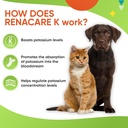 renacare-k-is-for-renal-k-potassium-gluc-5.jpg