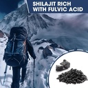 shilajit-supplement-shilajit-capsules-wi-2.jpg