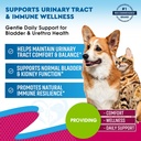 cat-dog-urinary-tract-infection-treatmen-2.jpg
