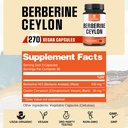 1000mg-berberine-supplement-with-500mg-c-2.jpg
