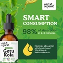 wild-organic-gotu-kola-herb-tincture---b-4.jpg