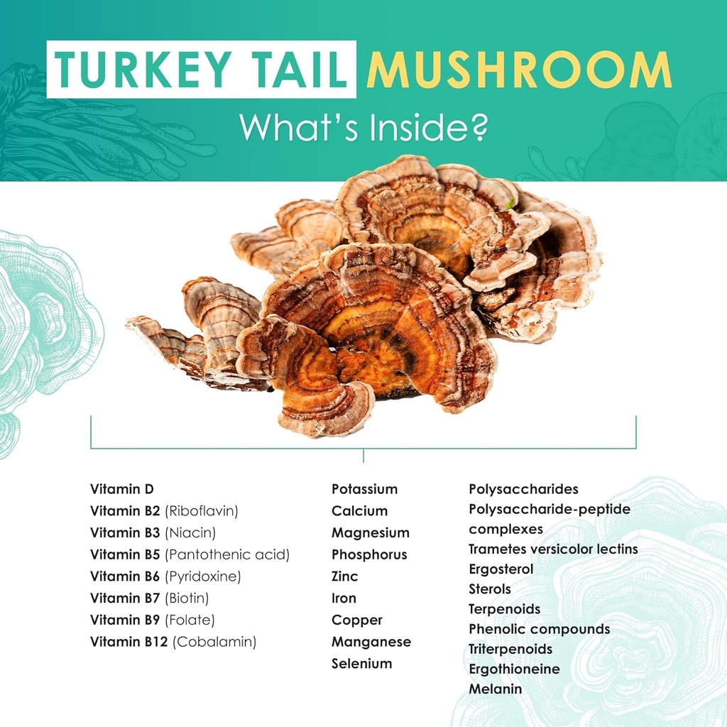 turkey-tail-powder---organic-mushroom-su-4.jpg