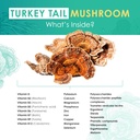 turkey-tail-powder---organic-mushroom-su-4.jpg