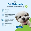 pet-wellbeing-pet-melatonin-for-dogs---v-3.jpg