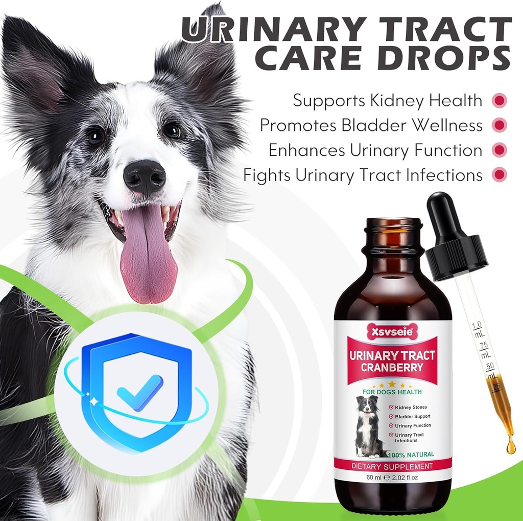 dog-uti-treatment-xsvseie-urinary-tract--2.jpg
