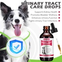 dog-uti-treatment-xsvseie-urinary-tract--2.jpg