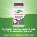 natures-way-heart-care-hawthorn-extract--4.jpg