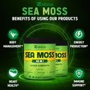 zolotus-2-packs-60-capsules-sea-moss-sup-5.jpg
