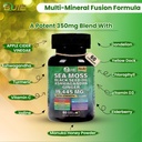 sea-moss-capsules-ginger-60-capsules-iri-3.jpg