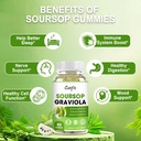 soursop-graviola-gummies-soursop-leaves--4.jpg