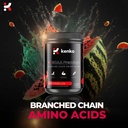 kenko-essentials-k-bcaa-premium-branched-3.jpg