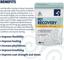 purica-pet-recovery-extra-strength---joi-4.jpg
