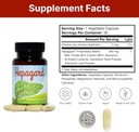 hepagard---natural-liver-support-supplem-6.jpg