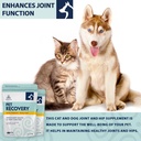 purica-pet-recovery-extra-strength---joi-5.jpg