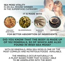 organic-irish-sea-moss-with-bladderwrack-4.jpg