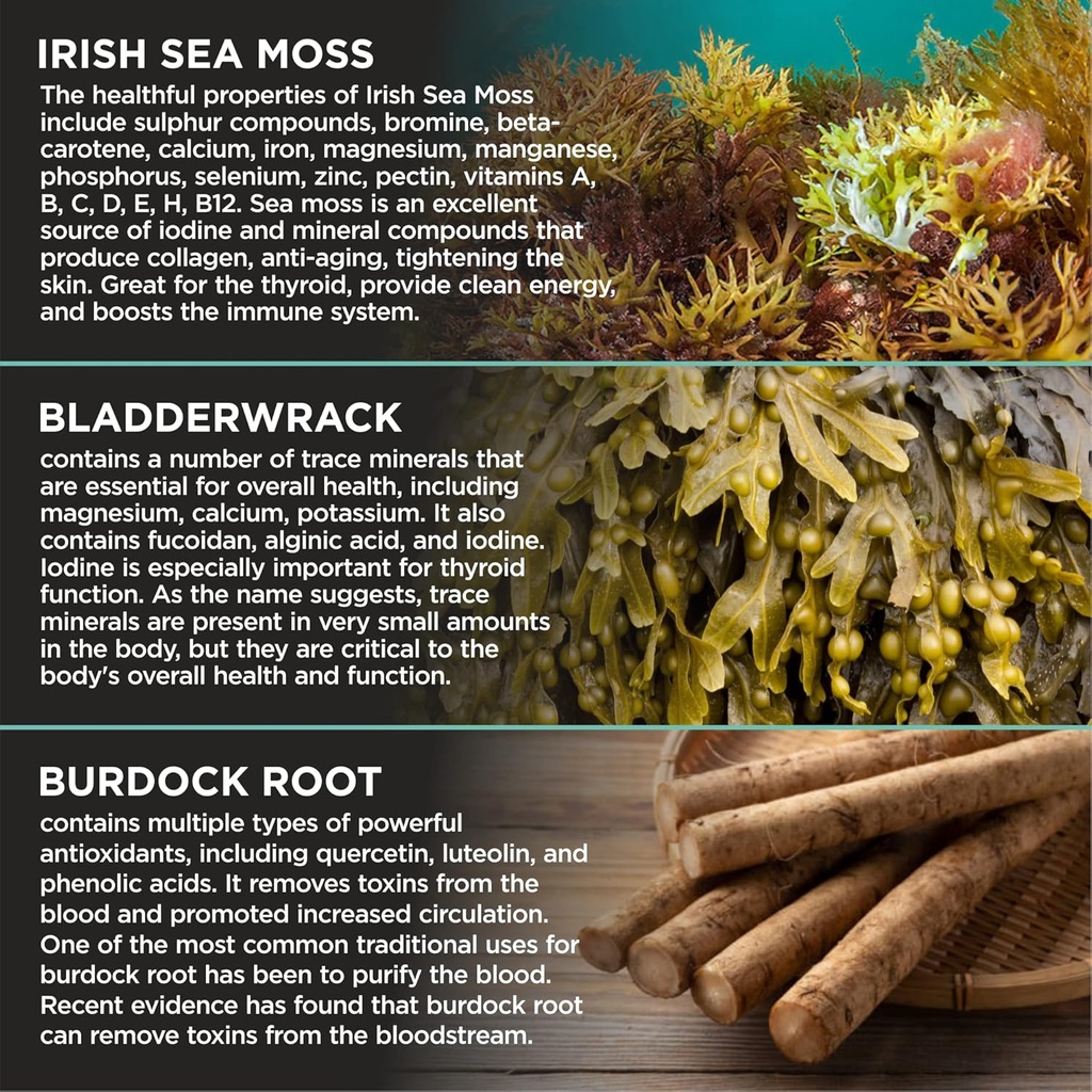 organic-irish-sea-moss-with-bladderwrack-6.jpg
