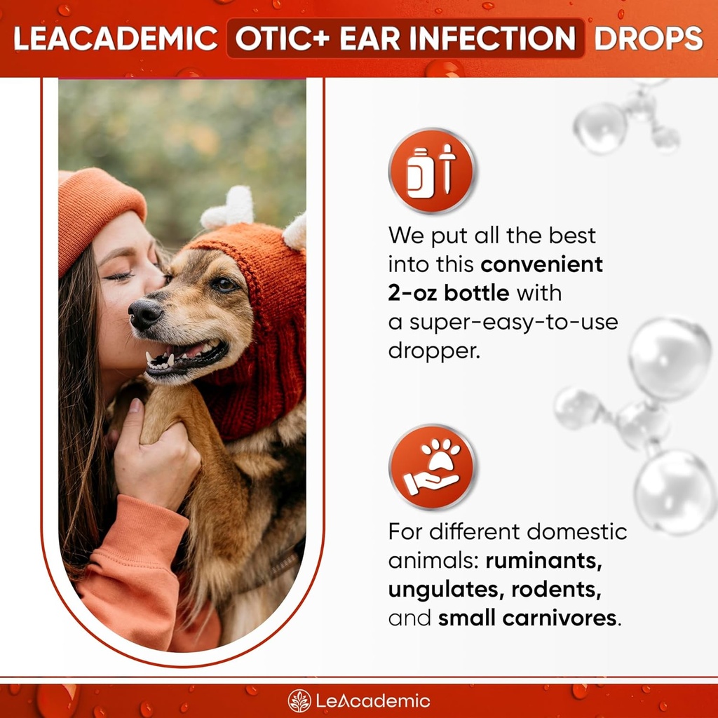dog-ear-infection-treatment-otic-ear-inf-6.jpg