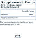 vital-nutrients-ipriflavone-600mg-isofla-2.jpg
