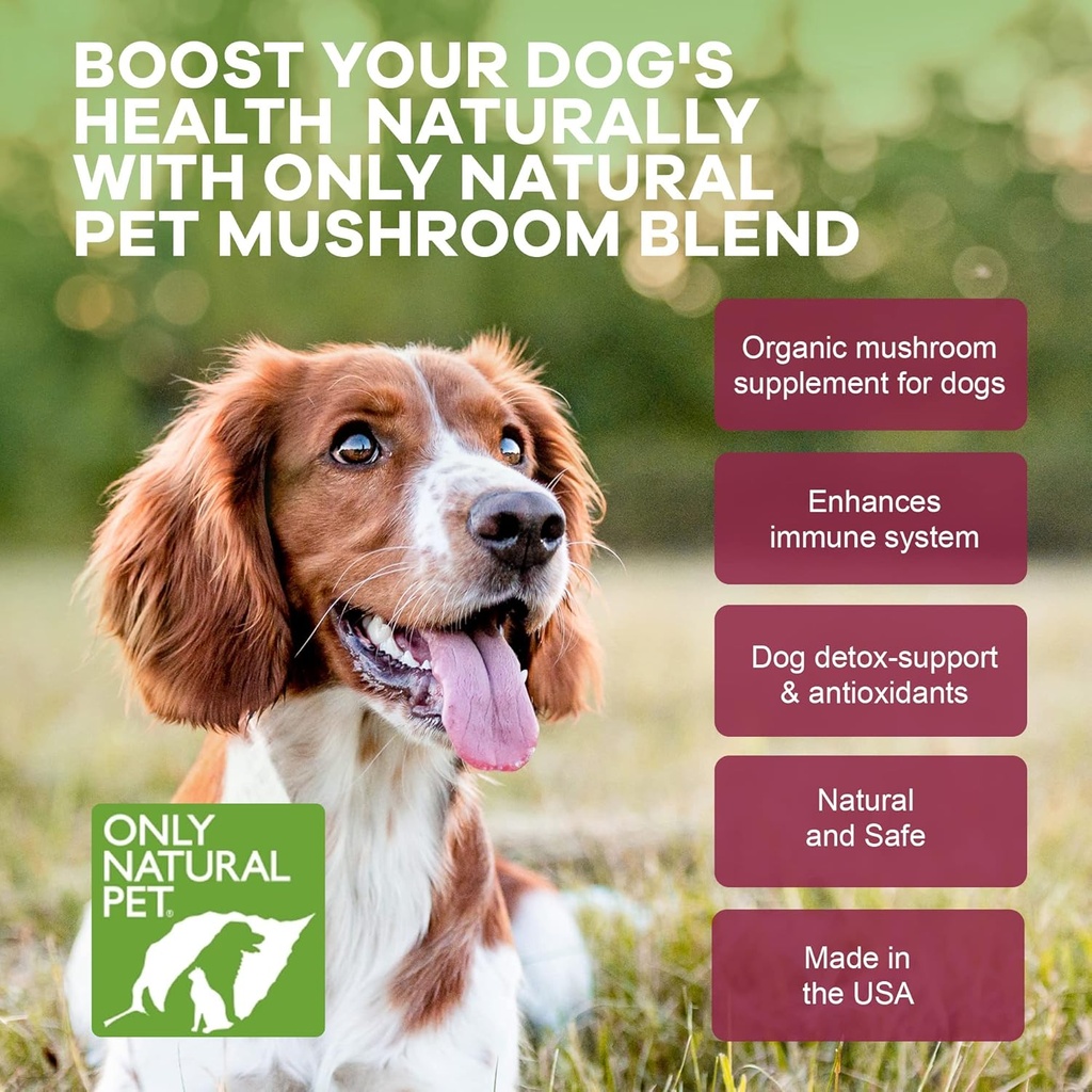 only-natural-pet-mushroom-blend-immune-s-6.jpg