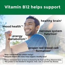 nature-made-vitamin-b12-1000-mcg-dietary-3.jpg