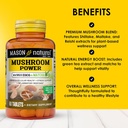 mason-natural-mushroom-power-with-95-egc-2.jpg