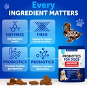 probiotics-for-dogs---support-gut-health-6.jpg