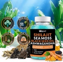 shilajit-sea-moss-ashwagandha-gummies-wi-6.jpg