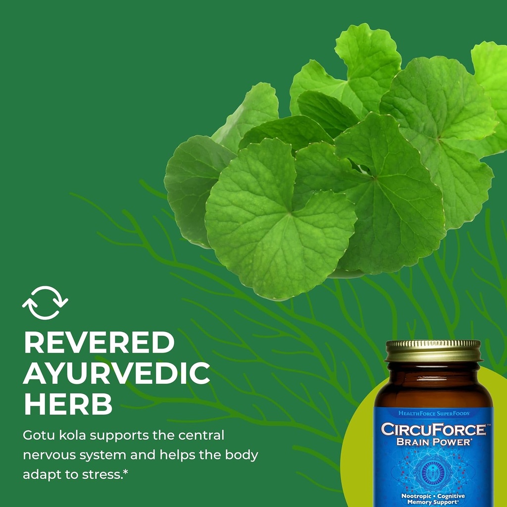 healthforce-superfoods-circuforce-brain--6.jpg