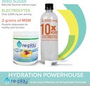 replay-hydration-recovery-drink-powder-s-5.jpg