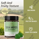 herbamama-sea-moss-and-ashwagandha-kit---6.jpg