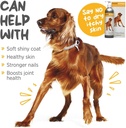 maxxipaws-maxxiomega-omega-3-6-9-oil-sup-3.jpg