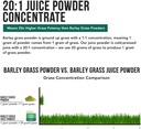 organic-wheatgrass-juice-powder-plus-org-2.jpg