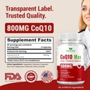 coq10-powerful-antioxidant-supplement----2.jpg