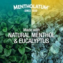 mentholatum-vaporduo-1-pack-4.jpg