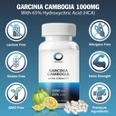 extra-strength-65-hca-pure-garcinia-camb-2.jpg