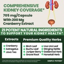 kidney-support-supplement-kidney-cleanse-3.jpg