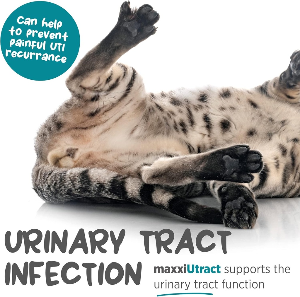 maxxipaws-maxxiutract-urinary-bladder-su-3.jpg