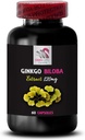 herbal-antioxidant-extract---ginkgo-bilo-2.jpg