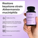 akkermansia-muciniphila-probiotic-prebio-3.jpg