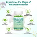 2-pack-organic-valerian-root-gummies-nat-2.jpg