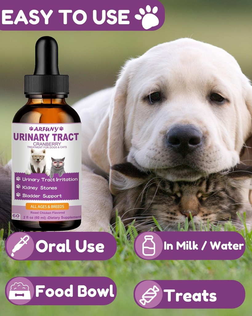 cat-dog-urinary-tract-infection-treatmen-6.jpg
